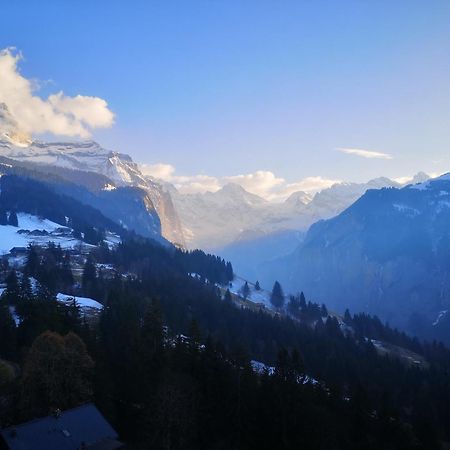Swiss Lodge Hotel Bernerhof Βένγκεν Εξωτερικό φωτογραφία