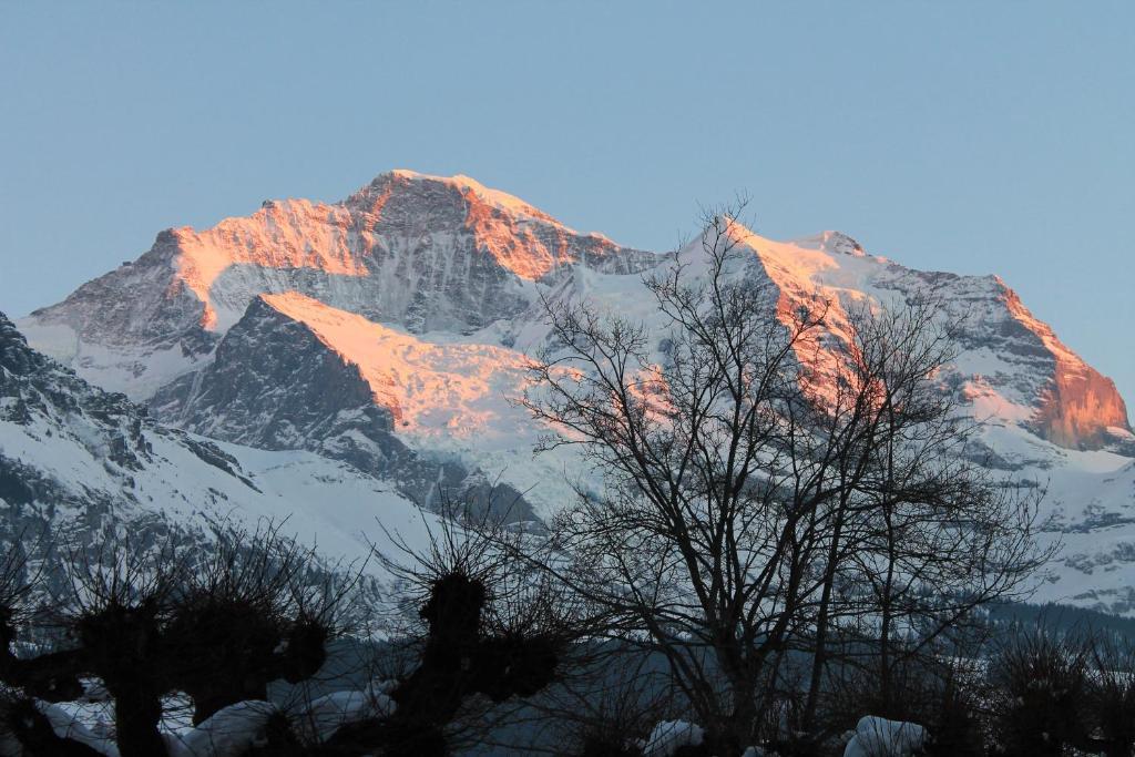 Swiss Lodge Hotel Bernerhof Βένγκεν Εξωτερικό φωτογραφία