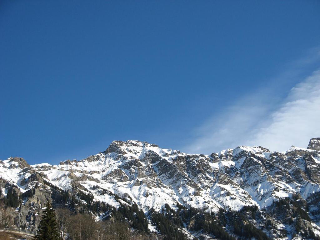Swiss Lodge Hotel Bernerhof Βένγκεν Εξωτερικό φωτογραφία